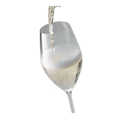 9.5-oz / 6-pc  Champagne Set